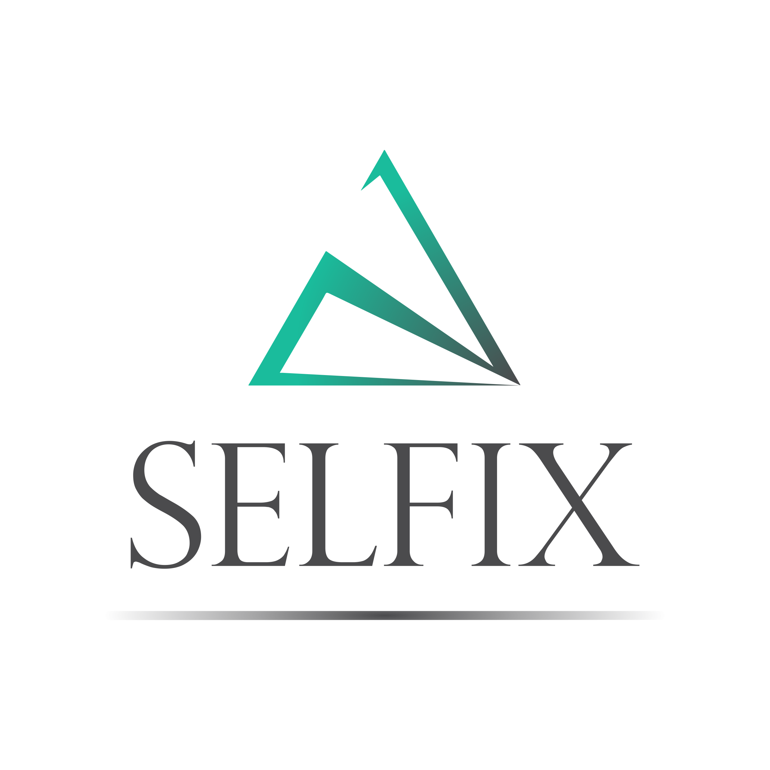 selfix Logo
