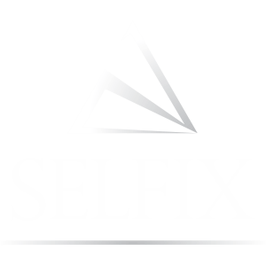 small selfix Logo